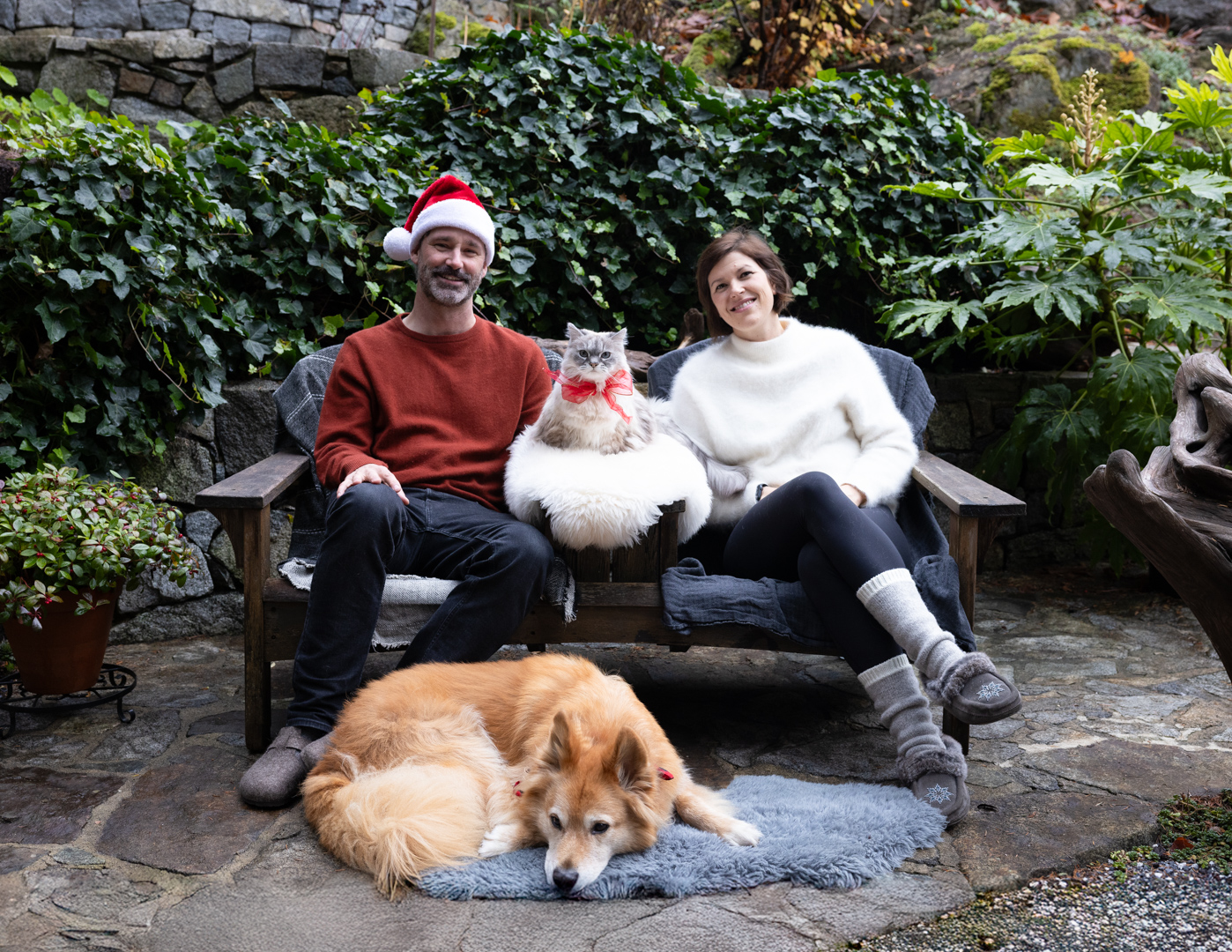 Doggy Logs Family Portrait